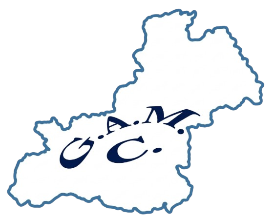 Logo Caquiaviri